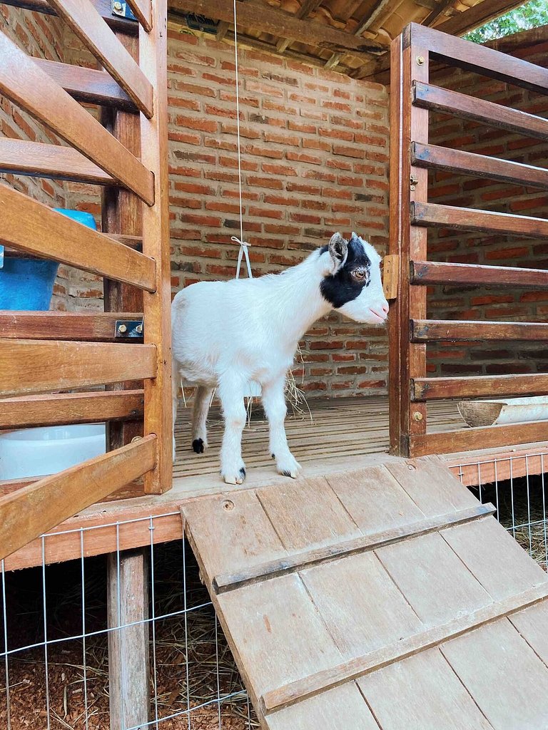 CONDOMÍNIO ÁGUAS DA SERRA - HARAS E GOLFE