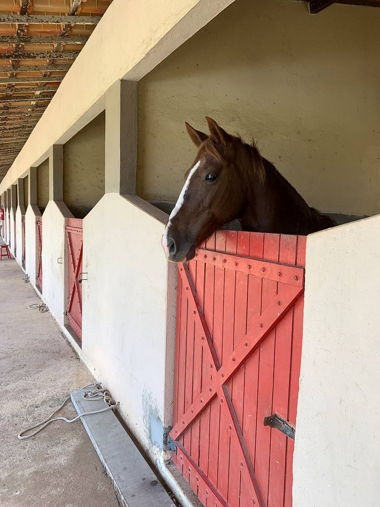 CONDOMÍNIO ÁGUAS DA SERRA - HARAS E GOLFE
